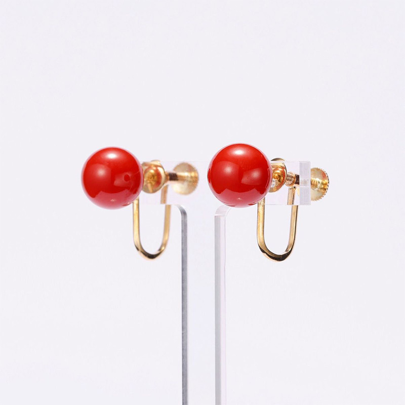 珊瑚(サンゴ)の写真